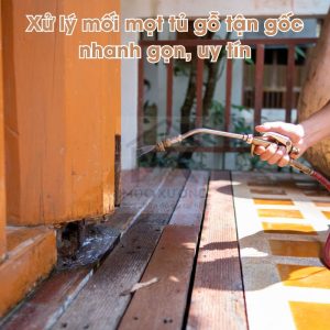 Xử lý mối mọt tủ gỗ tận gốc nhanh gọn, uy tín
