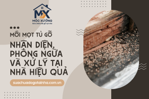 Mối mọt tủ gỗ: Nhận diện, phòng ngừa và xử lý tại nhà hiệu quả