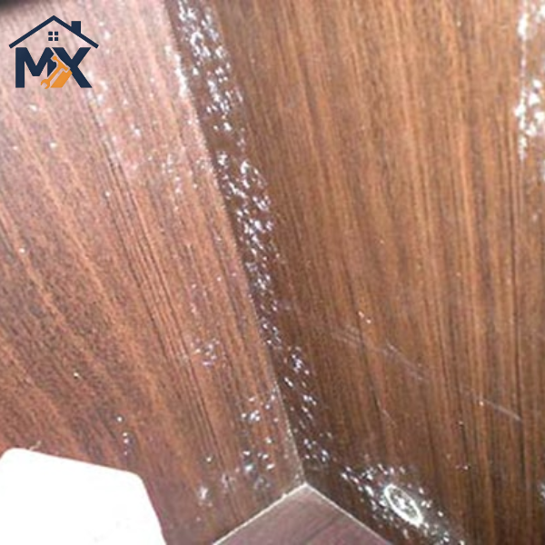 Vì sao tủ gỗ "đổ bệnh"? Nguyên nhân gây ẩm mốc thường gặp