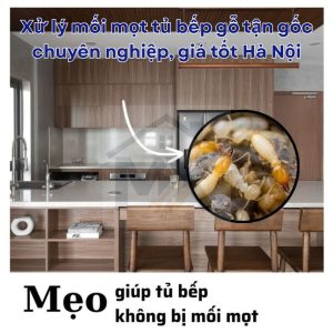 Xử lý mối mọt tủ bếp gỗ tận gốc chuyên nghiệp, giá tốt Hà Nội