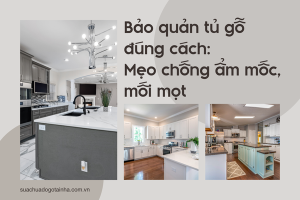 Bảo quản tủ gỗ đúng cách: Mẹo chống ẩm mốc, mối mọt
