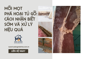 Mối mọt phá hoại tủ gỗ: Cách nhận biết sớm và xử lý hiệu quả