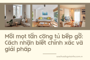 Mối mọt tấn công tủ bếp gỗ: Cách nhận biết chính xác và giải pháp