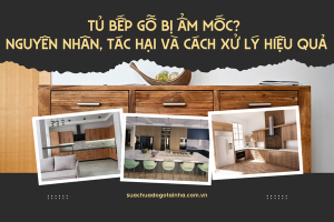 Tủ bếp gỗ bị ẩm mốc? Nguyên nhân, tác hại và cách xử lý hiệu quả