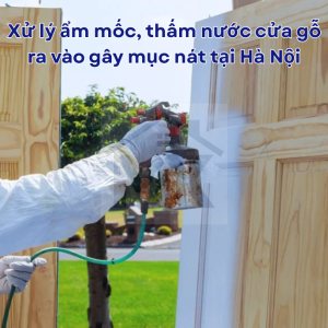 Xử lý ẩm mốc, thấm nước cửa gỗ ra vào gây mục nát tại Hà Nội