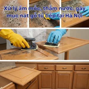 Xử lý ẩm mốc, thấm nước, gây mục nát gỗ tủ bếp tại Hà Nội