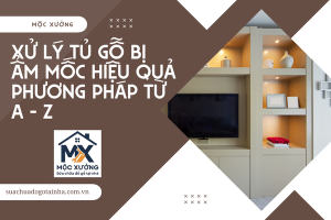 Xử lý tủ gỗ bị ẩm mốc hiệu quả: Phương pháp từ A - Z