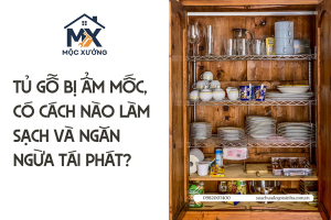 Tủ gỗ bị ẩm mốc, có cách nào làm sạch và ngăn ngừa tái phát?