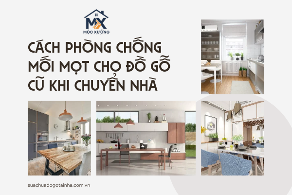 Cách phòng chống mối mọt cho đồ gỗ cũ khi chuyển nhà